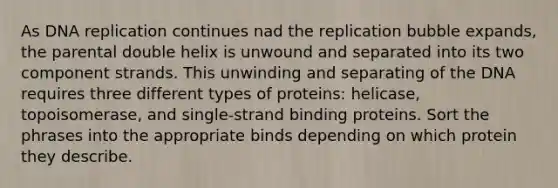 As DNA replication continues nad the replication bubble expands, the parental double helix is unwound and separated into its two component strands. This unwinding and separating of the DNA requires three different types of proteins: helicase, topoisomerase, and single-strand binding proteins. Sort the phrases into the appropriate binds depending on which protein they describe.