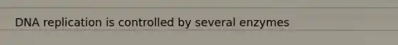 DNA replication is controlled by several enzymes