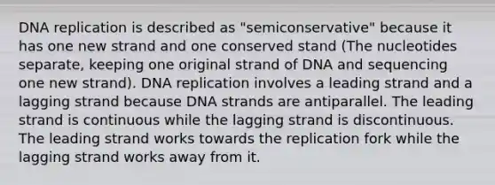 DNA replication is described as "semiconservative" because it has one new strand and one conserved stand (The nucleotides separate, keeping one original strand of DNA and sequencing one new strand). DNA replication involves a leading strand and a lagging strand because DNA strands are antiparallel. The leading strand is continuous while the lagging strand is discontinuous. The leading strand works towards the replication fork while the lagging strand works away from it.