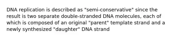 DNA replication is described as "semi-conservative" since the result is two separate double-stranded DNA molecules, each of which is composed of an original "parent" template strand and a newly synthesized "daughter" DNA strand