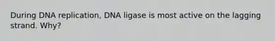 During DNA replication, DNA ligase is most active on the lagging strand. Why?