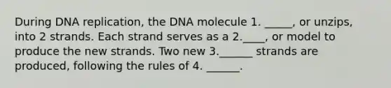 During <a href='https://www.questionai.com/knowledge/kofV2VQU2J-dna-replication' class='anchor-knowledge'>dna replication</a>, the DNA molecule 1. _____, or unzips, into 2 strands. Each strand serves as a 2.____, or model to produce the new strands. Two new 3.______ strands are produced, following the rules of 4. ______.