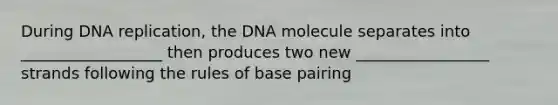 During DNA replication, the DNA molecule separates into __________________ then produces two new _________________ strands following the rules of base pairing