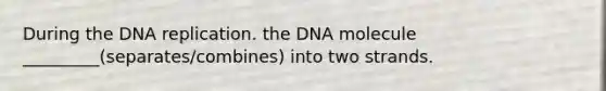 During the DNA replication. the DNA molecule _________(separates/combines) into two strands.