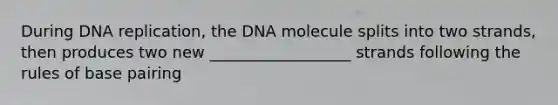 During DNA replication, the DNA molecule splits into two strands, then produces two new __________________ strands following the rules of base pairing