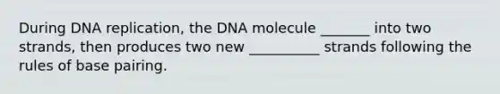 During DNA replication, the DNA molecule _______ into two strands, then produces two new __________ strands following the rules of base pairing.