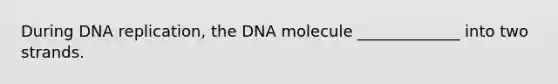 During DNA replication, the DNA molecule _____________ into two strands.