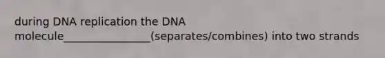 during DNA replication the DNA molecule________________(separates/combines) into two strands