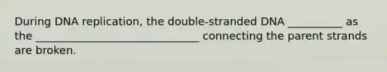 During <a href='https://www.questionai.com/knowledge/kofV2VQU2J-dna-replication' class='anchor-knowledge'>dna replication</a>, the double-stranded DNA __________ as the ______________________________ connecting the parent strands are broken.