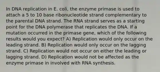 In DNA replication in E. coli, the enzyme primase is used to attach a 5 to 10 base ribonucleotide strand complementary to the parental DNA strand. The RNA strand serves as a starting point for the DNA polymerase that replicates the DNA. If a mutation occurred in the primase gene, which of the following results would you expect? A) Replication would only occur on the leading strand. B) Replication would only occur on the lagging strand. C) Replication would not occur on either the leading or lagging strand. D) Replication would not be affected as the enzyme primase in involved with RNA synthesis.