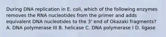 During DNA replication in E. coli, which of the following enzymes removes the RNA nucleotides from the primer and adds equivalent DNA nucleotides to the 3' end of Okazaki fragments? A. DNA polymerase III B. helicase C. DNA polymerase I D. ligase