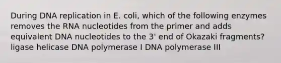 During DNA replication in E. coli, which of the following enzymes removes the RNA nucleotides from the primer and adds equivalent DNA nucleotides to the 3' end of Okazaki fragments? ligase helicase DNA polymerase I DNA polymerase III