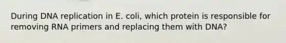 During DNA replication in E. coli, which protein is responsible for removing RNA primers and replacing them with DNA?