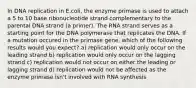 In DNA replication in E.coli, the enzyme primase is used to attach a 5 to 10 base ribonucleotide strand complementary to the parental DNA strand (a primer). The RNA strand serves as a starting point for the DNA polymerase that replicates the DNA. If a mutation occured in the primase gene, which of the following results would you expect? a) replication would only occur on the leading strand b) replication would only occur on the lagging strand c) replication would not occur on either the leading or lagging strand d) replication would not be affected as the enzyme primase isn't involved with RNA synthesis