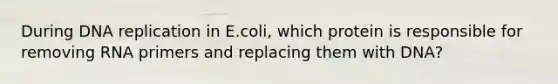 During DNA replication in E.coli, which protein is responsible for removing RNA primers and replacing them with DNA?