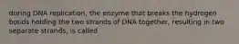 during DNA replication, the enzyme that breaks the hydrogen bonds holding the two strands of DNA together, resulting in two separate strands, is called