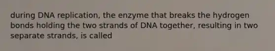 during DNA replication, the enzyme that breaks the hydrogen bonds holding the two strands of DNA together, resulting in two separate strands, is called