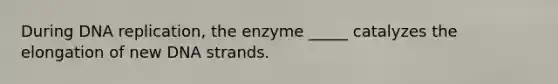 During DNA replication, the enzyme _____ catalyzes the elongation of new DNA strands.