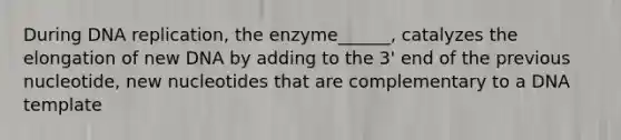 During <a href='https://www.questionai.com/knowledge/kofV2VQU2J-dna-replication' class='anchor-knowledge'>dna replication</a>, the enzyme______, catalyzes the elongation of new DNA by adding to the 3' end of the previous nucleotide, new nucleotides that are complementary to a DNA template