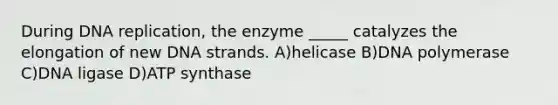 During <a href='https://www.questionai.com/knowledge/kofV2VQU2J-dna-replication' class='anchor-knowledge'>dna replication</a>, the enzyme _____ catalyzes the elongation of new DNA strands. A)helicase B)DNA polymerase C)DNA ligase D)ATP synthase