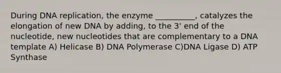 During <a href='https://www.questionai.com/knowledge/kofV2VQU2J-dna-replication' class='anchor-knowledge'>dna replication</a>, the enzyme __________, catalyzes the elongation of new DNA by adding, to the 3' end of the nucleotide, new nucleotides that are complementary to a DNA template A) Helicase B) DNA Polymerase C)DNA Ligase D) ATP Synthase