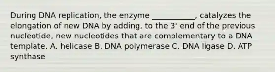 During DNA replication, the enzyme ___________, catalyzes the elongation of new DNA by adding, to the 3' end of the previous nucleotide, new nucleotides that are complementary to a DNA template. A. helicase B. DNA polymerase C. DNA ligase D. ATP synthase