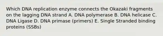 Which DNA replication enzyme connects the Okazaki fragments on the lagging DNA strand A. DNA polymerase B. DNA helicase C. DNA Ligase D. DNA primase (primers) E. Single Stranded binding proteins (SSBs)