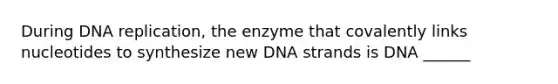 During DNA replication, the enzyme that covalently links nucleotides to synthesize new DNA strands is DNA ______