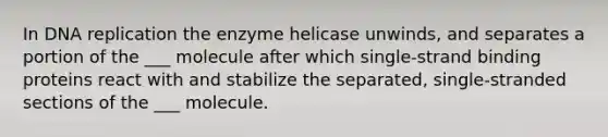 In DNA replication the enzyme helicase unwinds, and separates a portion of the ___ molecule after which single-strand binding proteins react with and stabilize the separated, single-stranded sections of the ___ molecule.