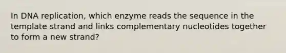 In DNA replication, which enzyme reads the sequence in the template strand and links complementary nucleotides together to form a new strand?