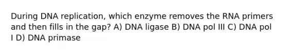 During DNA replication, which enzyme removes the RNA primers and then fills in the gap? A) DNA ligase B) DNA pol III C) DNA pol I D) DNA primase