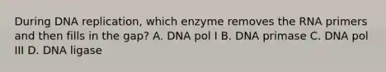 During <a href='https://www.questionai.com/knowledge/kofV2VQU2J-dna-replication' class='anchor-knowledge'>dna replication</a>, which enzyme removes the RNA primers and then fills in the gap? A. DNA pol I B. DNA primase C. DNA pol III D. DNA ligase