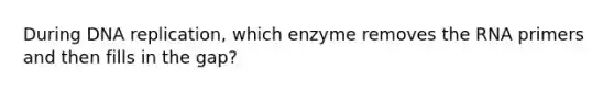 During DNA replication, which enzyme removes the RNA primers and then fills in the gap?