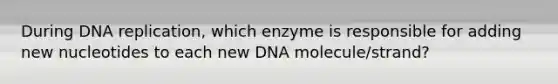 During DNA replication, which enzyme is responsible for adding new nucleotides to each new DNA molecule/strand?