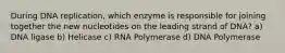 During DNA replication, which enzyme is responsible for joining together the new nucleotides on the leading strand of DNA? a) DNA ligase b) Helicase c) RNA Polymerase d) DNA Polymerase