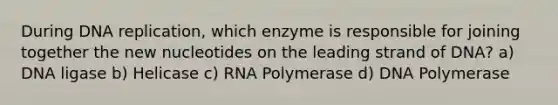 During DNA replication, which enzyme is responsible for joining together the new nucleotides on the leading strand of DNA? a) DNA ligase b) Helicase c) RNA Polymerase d) DNA Polymerase