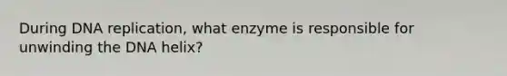 During <a href='https://www.questionai.com/knowledge/kofV2VQU2J-dna-replication' class='anchor-knowledge'>dna replication</a>, what enzyme is responsible for unwinding the DNA helix?