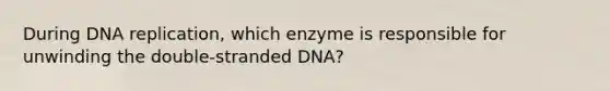 During <a href='https://www.questionai.com/knowledge/kofV2VQU2J-dna-replication' class='anchor-knowledge'>dna replication</a>, which enzyme is responsible for unwinding the double-stranded DNA?