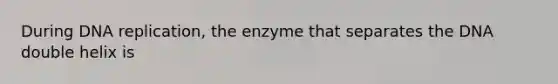 During <a href='https://www.questionai.com/knowledge/kofV2VQU2J-dna-replication' class='anchor-knowledge'>dna replication</a>, the enzyme that separates the DNA double helix is