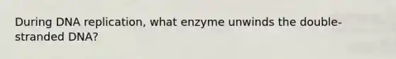 During DNA replication, what enzyme unwinds the double-stranded DNA?