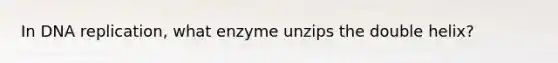 In DNA replication, what enzyme unzips the double helix?
