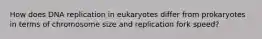 How does DNA replication in eukaryotes differ from prokaryotes in terms of chromosome size and replication fork speed?