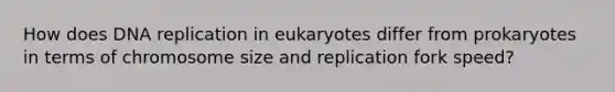 How does DNA replication in eukaryotes differ from prokaryotes in terms of chromosome size and replication fork speed?