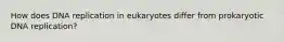 How does DNA replication in eukaryotes differ from prokaryotic DNA replication?