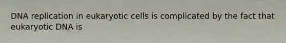 <a href='https://www.questionai.com/knowledge/kofV2VQU2J-dna-replication' class='anchor-knowledge'>dna replication</a> in <a href='https://www.questionai.com/knowledge/kb526cpm6R-eukaryotic-cells' class='anchor-knowledge'>eukaryotic cells</a> is complicated by the fact that eukaryotic DNA is