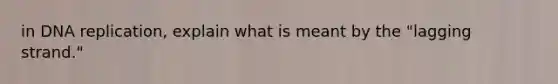 in DNA replication, explain what is meant by the "lagging strand."