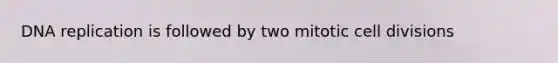 DNA replication is followed by two mitotic cell divisions