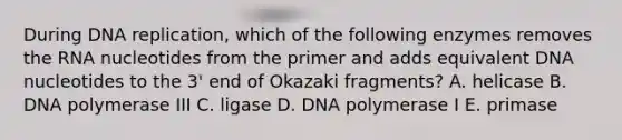 During <a href='https://www.questionai.com/knowledge/kofV2VQU2J-dna-replication' class='anchor-knowledge'>dna replication</a>, which of the following enzymes removes the RNA nucleotides from the primer and adds equivalent DNA nucleotides to the 3' end of Okazaki fragments? A. helicase B. DNA polymerase III C. ligase D. DNA polymerase I E. primase