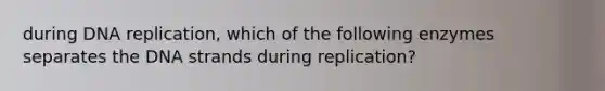 during DNA replication, which of the following enzymes separates the DNA strands during replication?