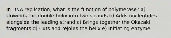 In <a href='https://www.questionai.com/knowledge/kofV2VQU2J-dna-replication' class='anchor-knowledge'>dna replication</a>, what is the function of polymerase? a) Unwinds the double helix into two strands b) Adds nucleotides alongside the leading strand c) Brings together the Okazaki fragments d) Cuts and rejoins the helix e) Initiating enzyme